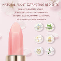 PAVA BEAUT Lip Balms Блеск для губ, 3.3 г